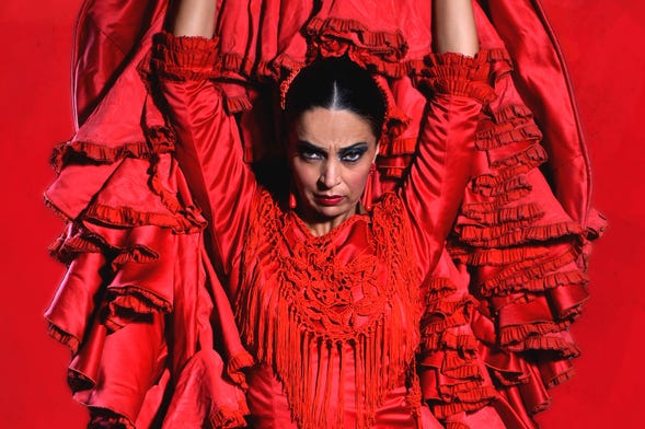 Flamenco Theatre Show