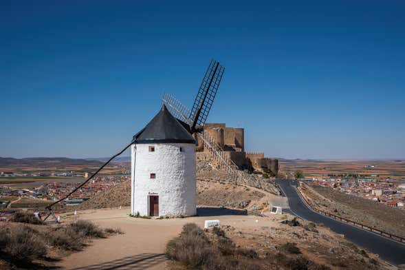 Consuegra Day Trip