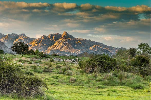 Sierra de Guadarrama National Park Day Trip