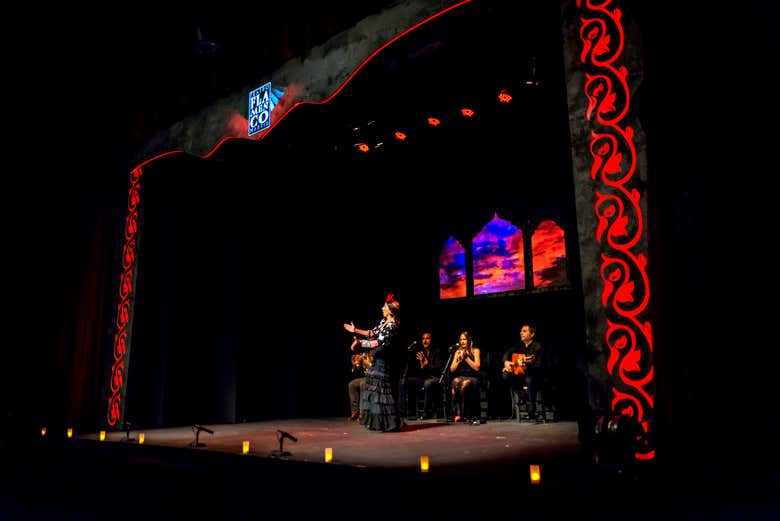 Show at the Flamenco Theatre in Madrid