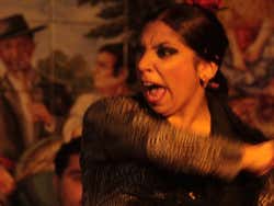 Fuensanta La Moneta, Flamenco dancer