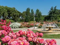 Botanical Gardens, Madrid
