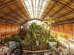 Atocha station, tropical garden