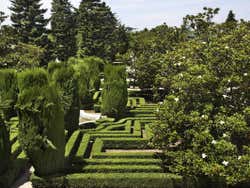 Jardines de Sabatini