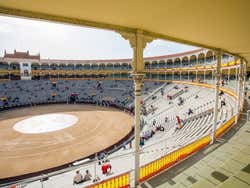 Las Ventas bullring, interior