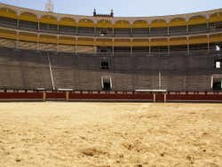 Madrid bullring tour