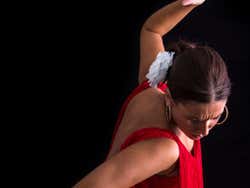 Cardamomo Tablao Flamenco